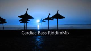 Cardiac Bass Riddim Mix 2012tracks in the description [upl. by Nodnrb]