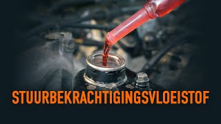 De stuurbekrachtigingsvloeistof verversen  AUTODOC tips [upl. by Eal329]