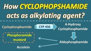 Cholecystitis Nursing NCLEX Pathophysiology Symptoms TTube amp Cholecystostomy [upl. by Notnert]