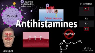 Histamine and Antihistamines Pharmacology Animation [upl. by Pascale922]