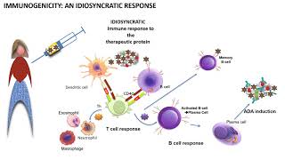 Immunology Lecture 2 Part 2 [upl. by Ahsiugal448]