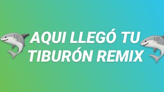 🦈AQUI LLEGO TU TIBURON REMIX🦈  DJ ALAN LEONEL FIESTERO EXPLOSIVO [upl. by Leagiba]