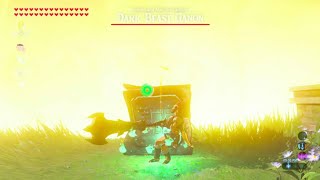 The Easiest Way to Escape Dark Beast Ganon in BOTW [upl. by Atinaw]