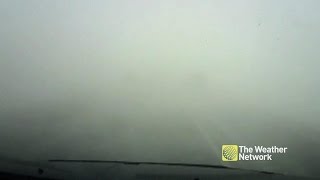 Driver narrowly avoids whiteout pileup at last second [upl. by Veronique]