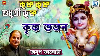 কৃষ্ণ ভজন  Anup Jalota  কৃষ্ণ কৃষ্ণ শুধু শ্রী কৃষ্ণ  Krishna Krishna Shudhu  Bengali Song 2019 [upl. by Elbam459]