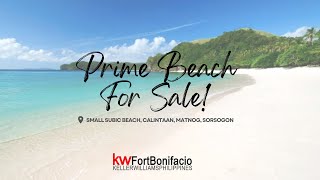 Prime Beachfront For Sale Small Subic Beach Calintaan Matnog Sorsogon Philippines [upl. by Namyac]