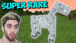 EASIEST Way To Find A SKELETON HORSE In Minecraft  Minecrafts Rarest Mob [upl. by Ynhoj]