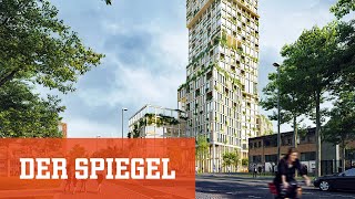 Boom beim nachhaltigen Bauen Die HolzWolkenkratzer kommen  DER SPIEGEL [upl. by Annalee]