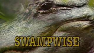 Swampwise  GPB Documentaries [upl. by Umberto]