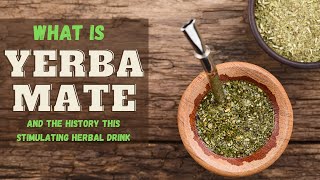 What Is Yerba Mate And the History of Yerba Mate [upl. by Azpurua]