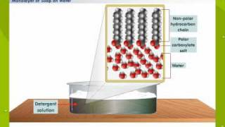 Cleansing Action Of Soap [upl. by Schindler]