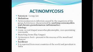 How To Say Actinomyces [upl. by Ylak]