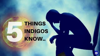 5 Things Only IndigosLightworkers Know [upl. by Eirual]