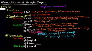 Glycolysis Part 3 of 3  Allosteric Regulation [upl. by Normy]