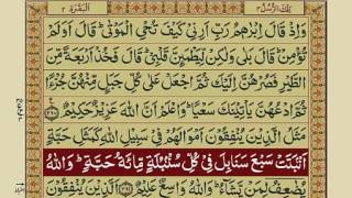 Quran Para 3 with Urdu Translation  Recitation  Mishary Rashid Alafasy [upl. by Nojel78]