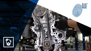 EN Toyota 14 D4D  Timing chain replacement [upl. by Saxela]