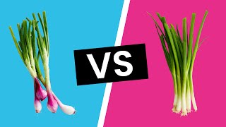 Spring Onion vs Green Onions  Whats the Difference [upl. by Anolla]