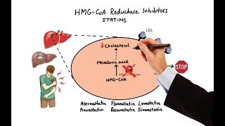 Pharmacology  DRUGS FOR HYPERLIPIDEMIA MADE EASY [upl. by Buehrer746]