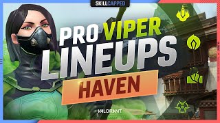 The BEST PRO VIPER LINEUPS SPOTS amp SETUPS For HAVEN  Valorant Tips Tricks and Guides [upl. by Linnet]