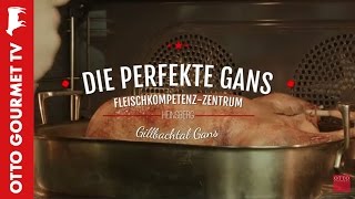 Gänsebraten perfekt zubereiten [upl. by Ennovy695]