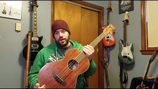 Ibanez AcousticElectric Bass PNB14E Parlor Demo Review [upl. by Huan]