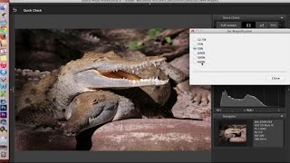 Canon Digital Photo Professional DPP 4 Software Overview and Interface Tour [upl. by Kennett]