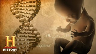 Ancient Aliens HIDDEN ALIEN CODE IN DNA UNCOVERED Season 13  History [upl. by Nelda]