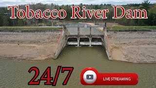 Tobacco River Dam  Michigan  247 HD Live Stream [upl. by Anehsuc338]