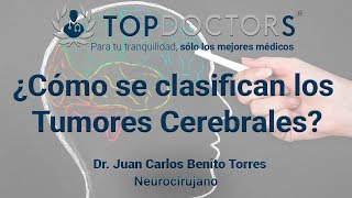 ¿Cómo se clasifican los Tumores Cerebrales [upl. by Llenra]