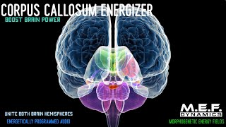 Corpus Callosum Function Amplifier [upl. by Odnumde]