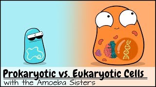 Prokaryotic vs Eukaryotic Cells Updated [upl. by Behre]