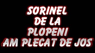 SORINEL DE LA PLOPENI AM PLECAT DE JOS 2014 [upl. by Cha]