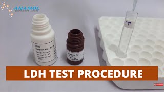 Lactate Dehydrogenase Test  LDH Test Procedure [upl. by Nelleeus]