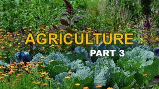 Agriculture Class 10 CBSE Geography part 3 [upl. by Deanna]