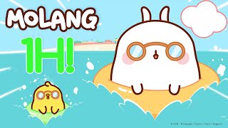 Molang  An Endless Summer  🌊 [upl. by Eibor]