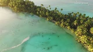 The Nature Conservancy Palmyra Atoll [upl. by Rihaz]