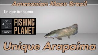 Unique Arapaima  Amazonian Maze Brazil  Fishing Planet Guide [upl. by Coltin622]