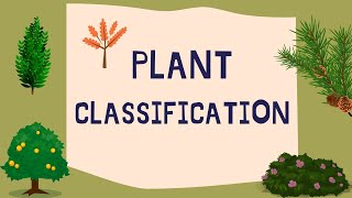 Plant classification [upl. by Colton468]