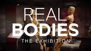 Real Bodies The Exhibition [upl. by Cassaundra8]