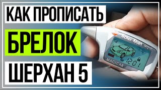 Как Прописать Брелок Шерхан 5 Брелок ScherKhan Magicar 5 программирование [upl. by Alleyne]