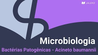 Microbiologia Bactérias Patogênicas  Acineto baumannii [upl. by Pruchno538]