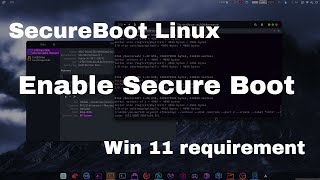 Enable secure boot on Linux  Dual boot Windows 11 and Linux [upl. by Danella]