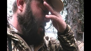 GROWN MAN CRIES IN BEAR STAND [upl. by Eaj]