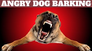 Angry Dog ​​Barking Loud  Dog Barking Sounds [upl. by Ameerak174]