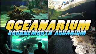 OCEANARIUM The Bournemouth Aquarium  Dorset  England 4k [upl. by Sussi]