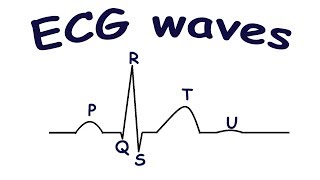 ECG waves [upl. by Annahsirhc]