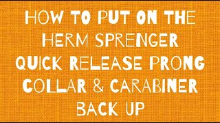 Herm Sprenger Quick Release Prong Collar How to Fit [upl. by Yelsek385]