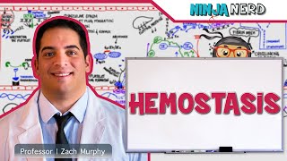 Hematology  Hemostasis Coagulation Cascade [upl. by Onez]