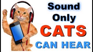 Sound Cats Can Only Hear  HQ [upl. by Stacia]