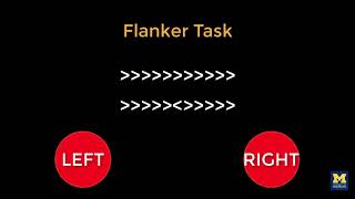 AFNI Tutorial 2 The Flanker Task [upl. by Adleremse]